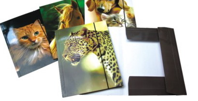 ANIMAL DESIGN PAPEERFILE FOLDER